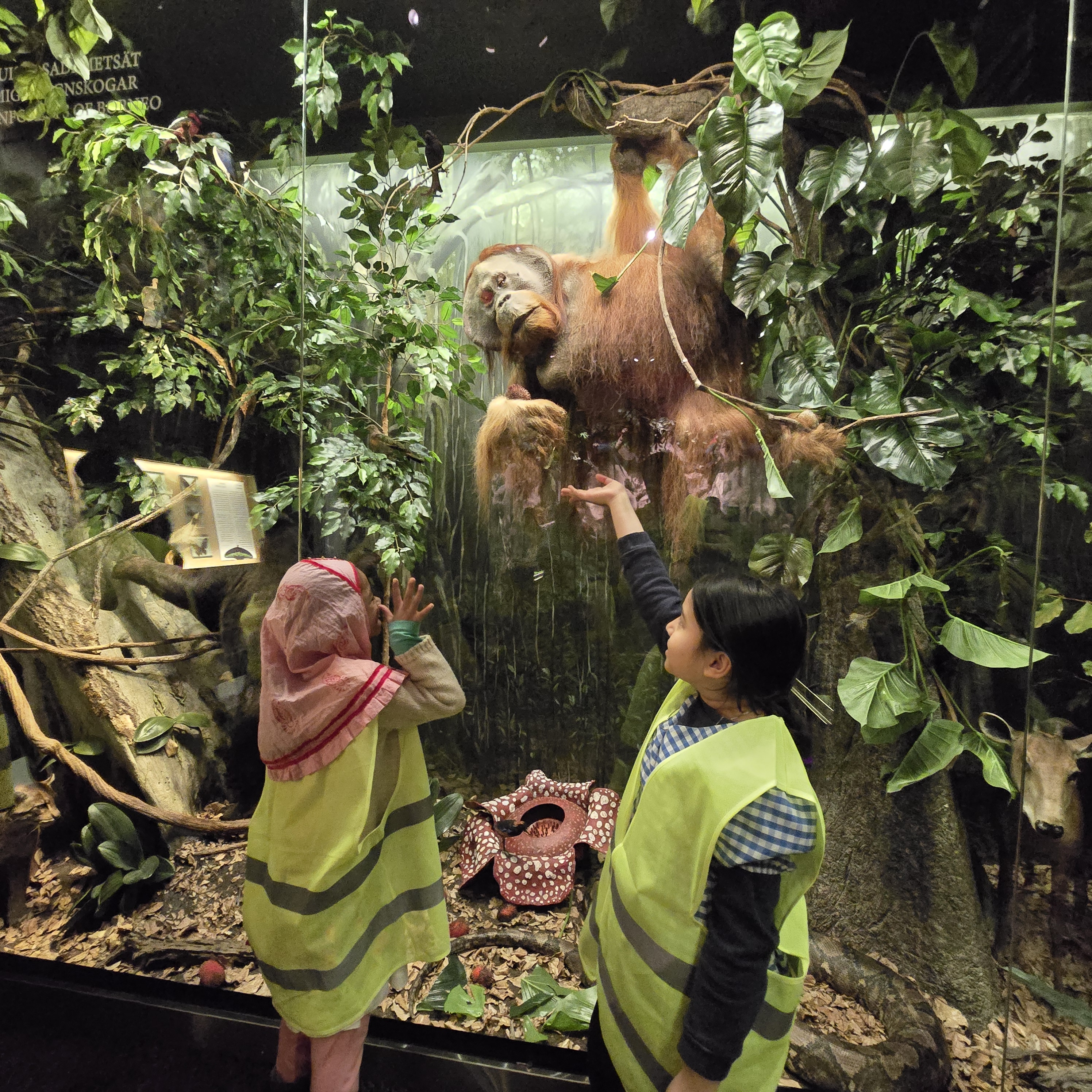 Image 15 of 25 from EMC's weekend-school learning, activities, and outings