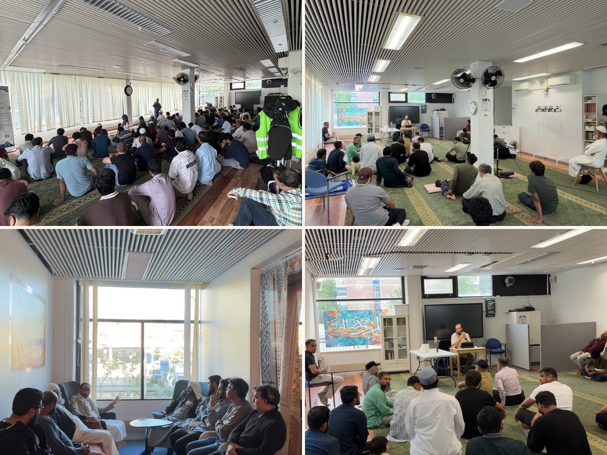 Highlights from EMC Talks and Discussion